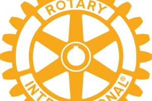 Rotary sports 