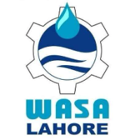 Wasa XI