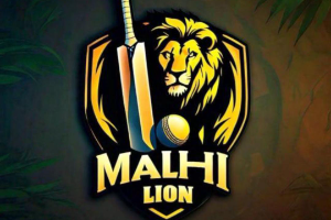 Malhi lion