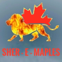 Sher-E-Maples Steelers