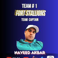 Fort Stallions