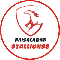Faisalabad Stallions