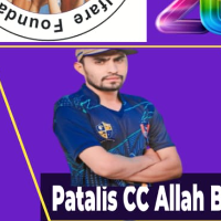 PETALS CRICKET CLUB