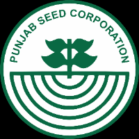 Punjab Seeds