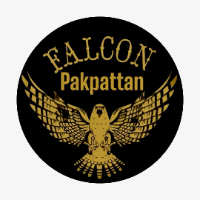 Pakpattan Falcon