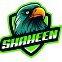 Shaheen Chittamor