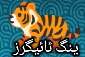 Young Tiger.s