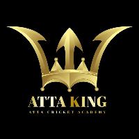 Atta king cricket Academy 