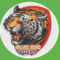 Gujjarsingh Tigers