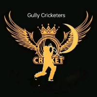 Gully Cricketers