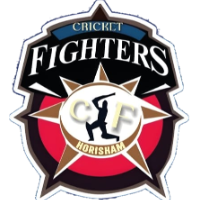 Cricket Fighters