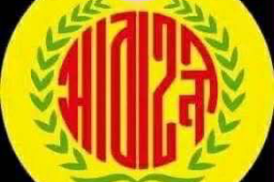 Abahoni