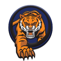 34 tiger 