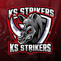 K.S STRIKER 